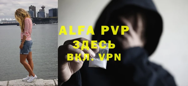 сатива Верея