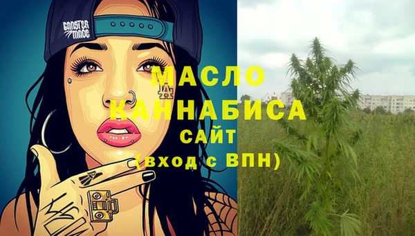 сатива Верея