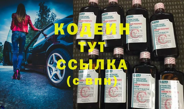 сатива Верея