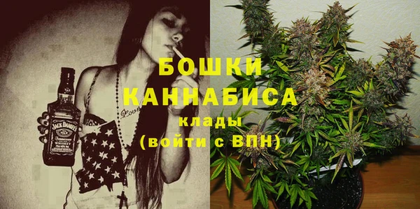 сатива Верея